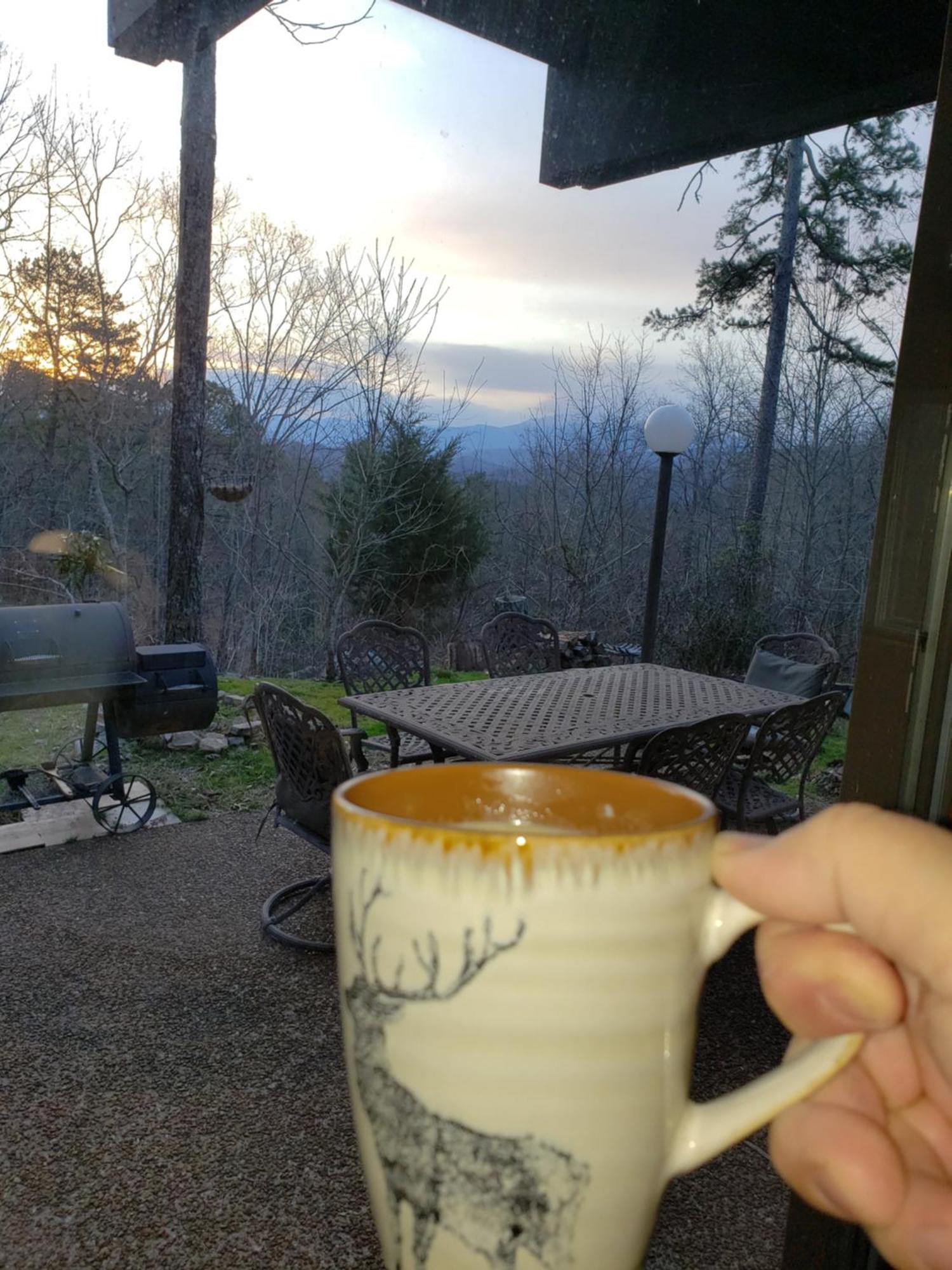 Lazy Bear Cabin 세비어빌 외부 사진