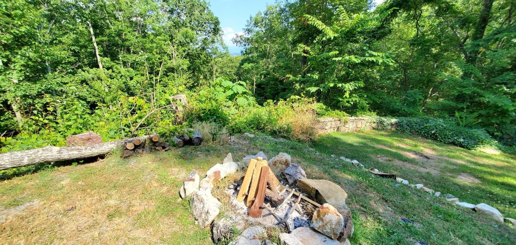 Lazy Bear Cabin 세비어빌 외부 사진